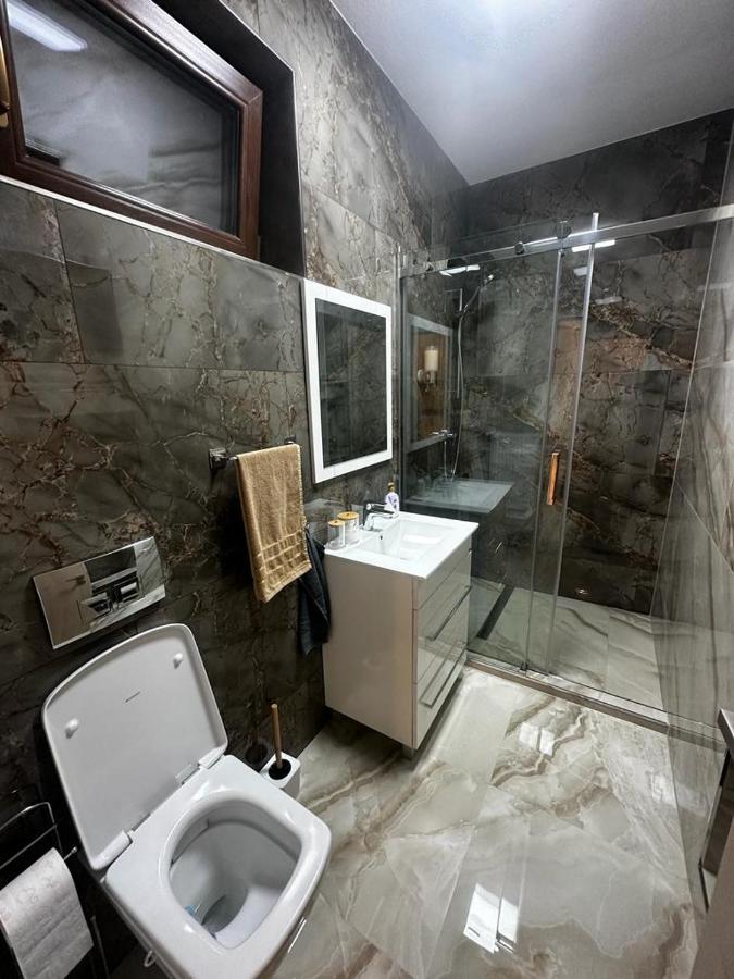 Emanuela Apartments Pecica Exterior photo